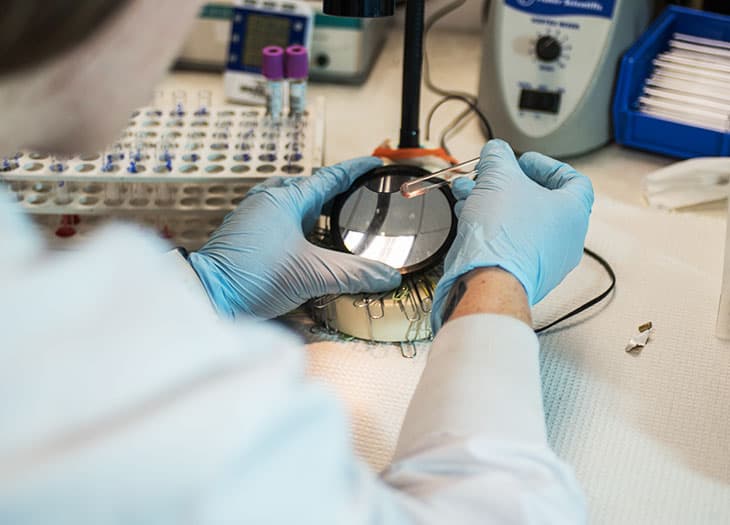 IRL technician working on serologic testing.