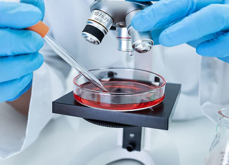 Technician testing sample under a microscope.